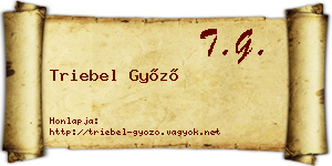 Triebel Győző névjegykártya
